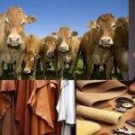 leather products