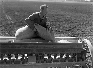 Filling A Seed Drill from a Seed Bag
