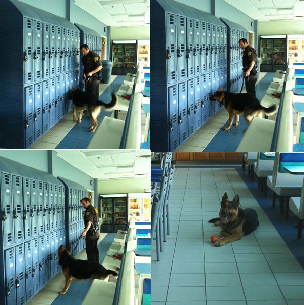 K9 Group